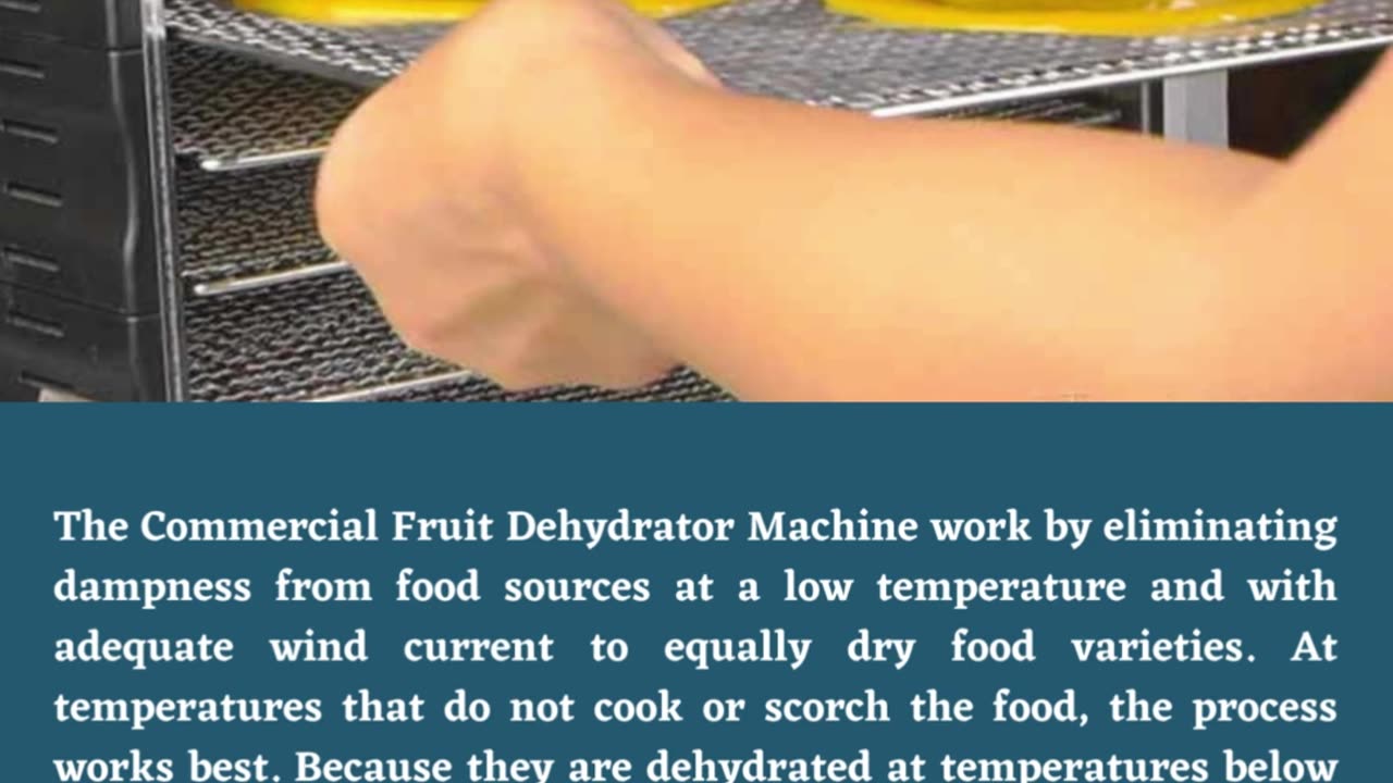 Commercial Fruit Dehydrator Machine