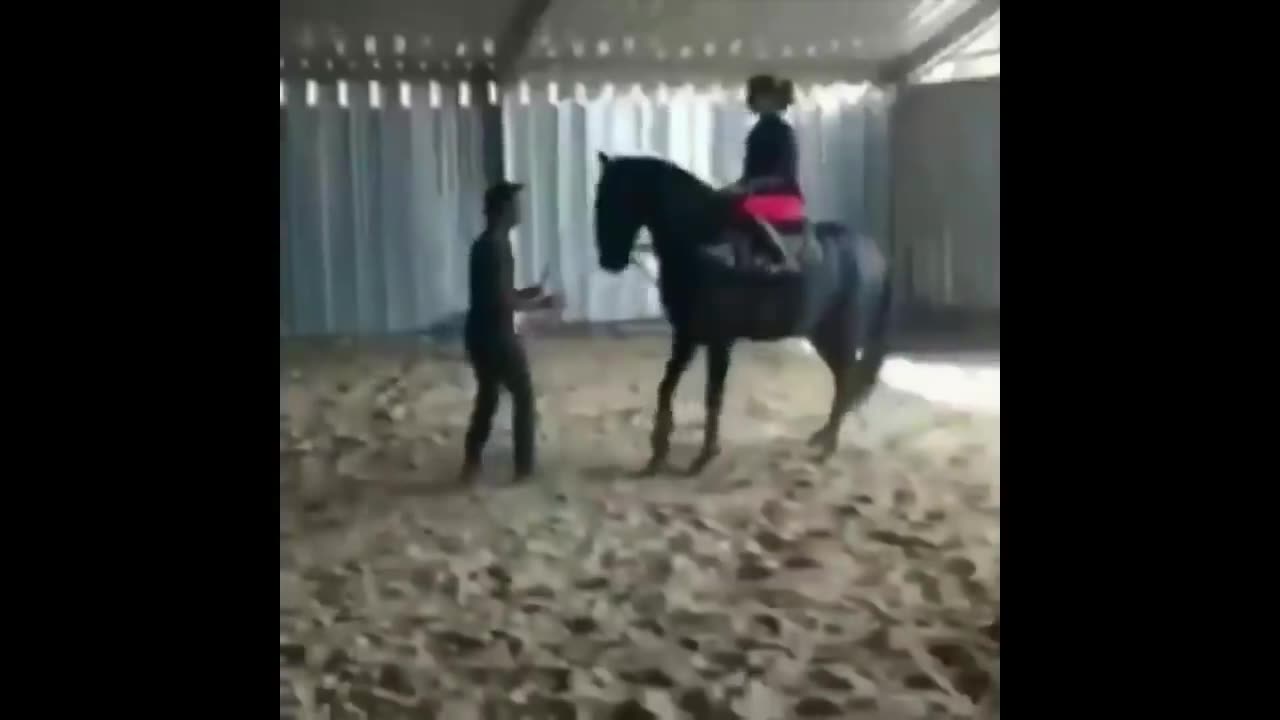 Funny and Cute Horse Videos Compilation cute moment of the horses- Cutest Horse #5