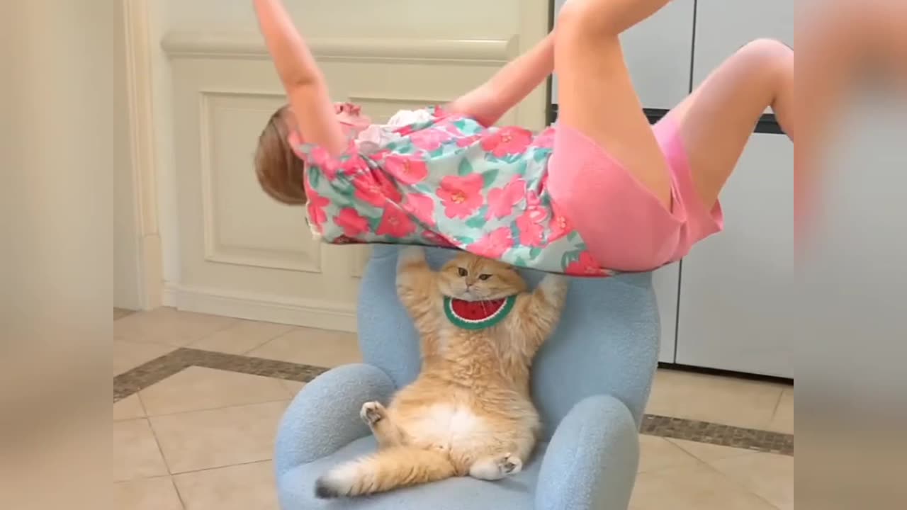 Unleashing Giggles: Hilarious Animal Antics That Will Make Your Day" very funny cattey 😜🤣