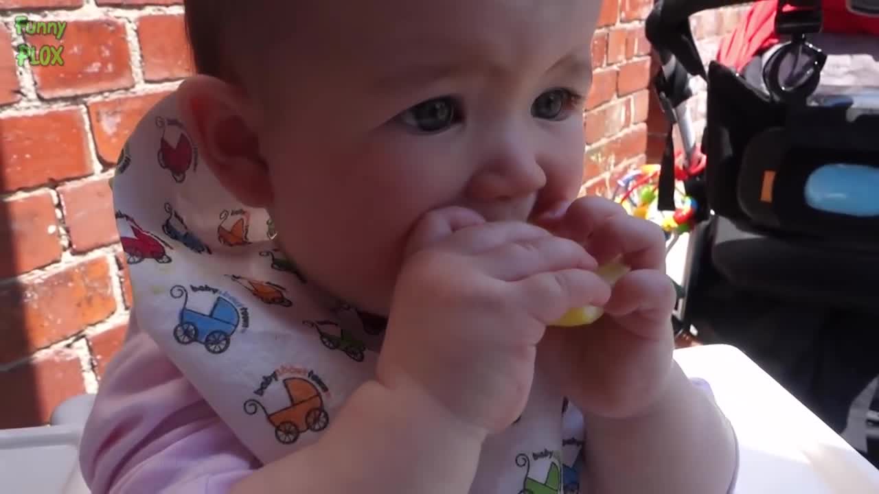 Babies Eating Lemons for the First Time Compilation