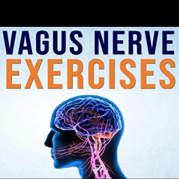 Vagus nerve 2 books in 1: The polyvagal theory + Activate your vagus nerve