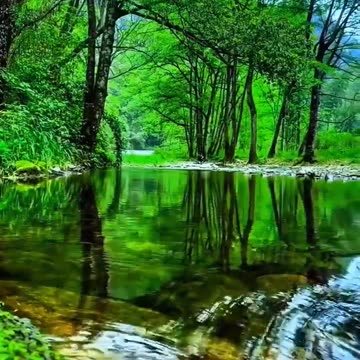 surah_mujadillah_urdu_translation_quran_qurantranslation_quranrecitation (1)