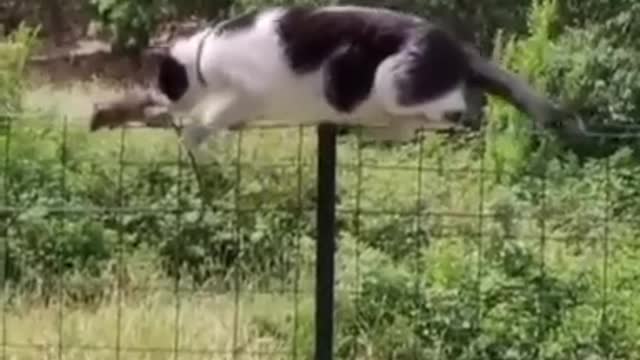 Друзья навсегда