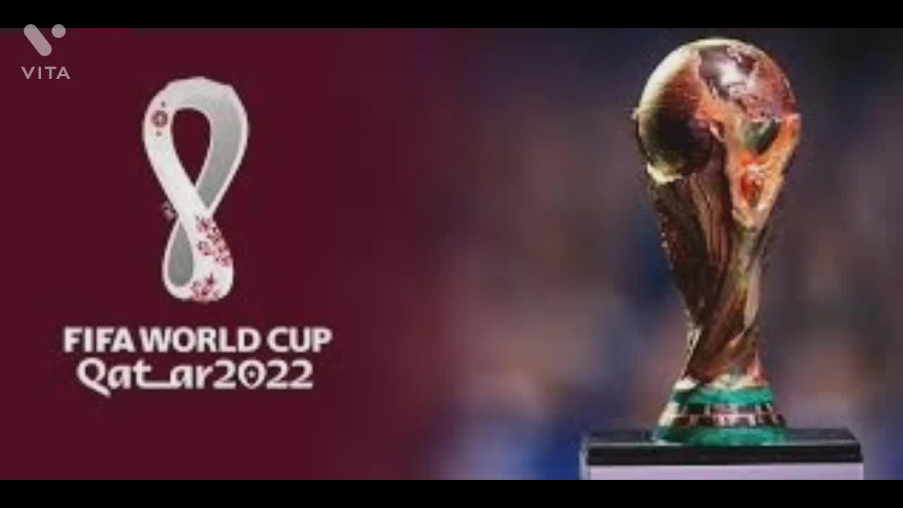 Beer sales banned at World Cup stadiums in Qatar, FIFA says