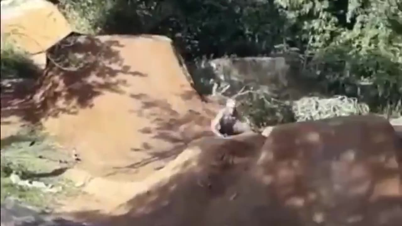 FUNNY VIDEOS