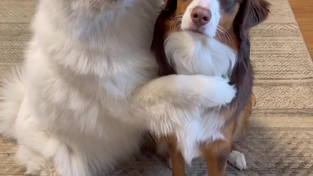 When you finally got that best friend