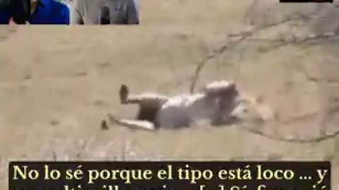 NO VACUNEN A SUS ANIMALES O MASCOTAS