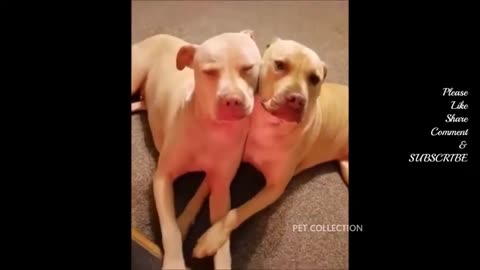 Watch the video and laugh