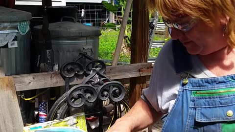 Seed Starting pt 2