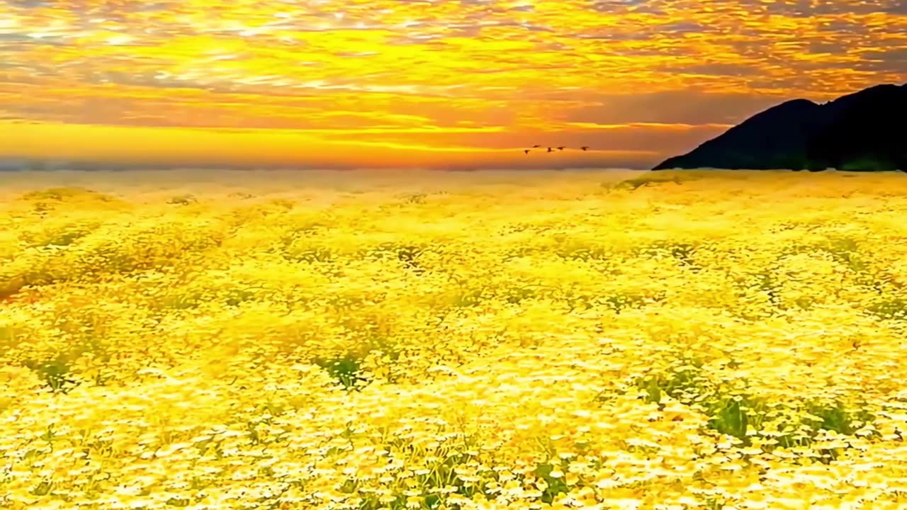 relaxing music, pleasant birdsong, beautiful nature
