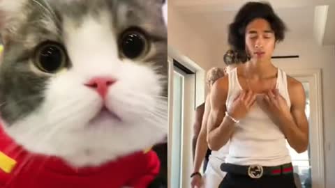 Cats like handsome guys, too.💕💕#catnip #cat #funnydogsoftiktok #catvsdog 😂😂#fu