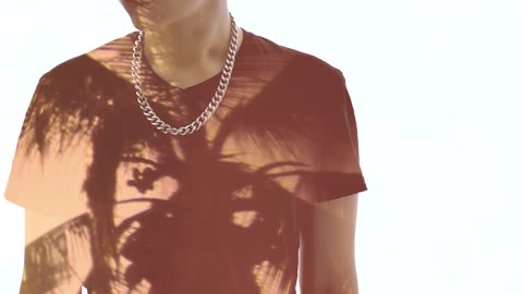 A person and the silhouette of a palm tree