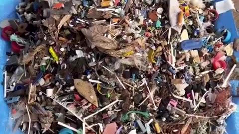 Cleaning up a beach by extracting small plastics from sand