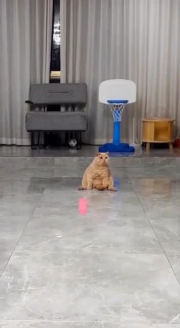 Tracking the ball is the best I can do for you 😂