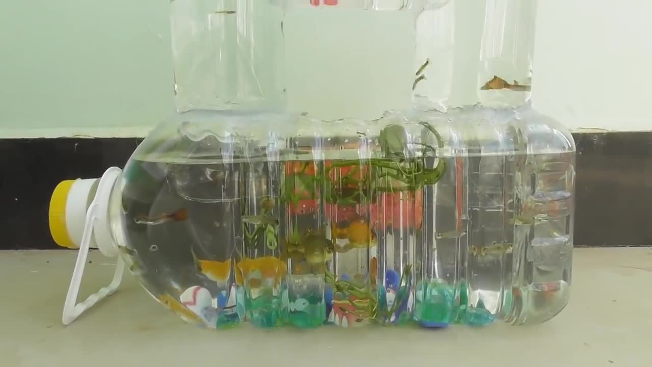 How to make Fish Tank using Plastic Bottle