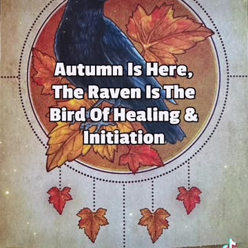 Inner Warrior Guidance 🐦‍⬛⚔️