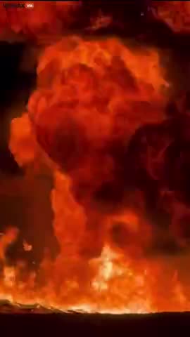 darwinl set himself on fire and his friends buried him in the sand like a cat buriies shit