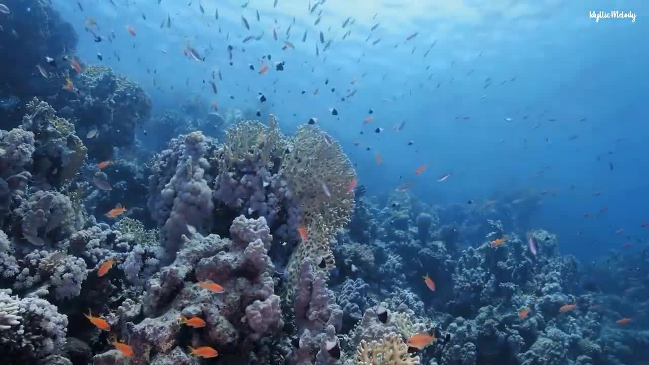 Dormirse en menos de 3 MINUTOS