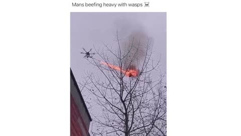 Epic Wasp Nest Takedown: Drone vs. Stingers!