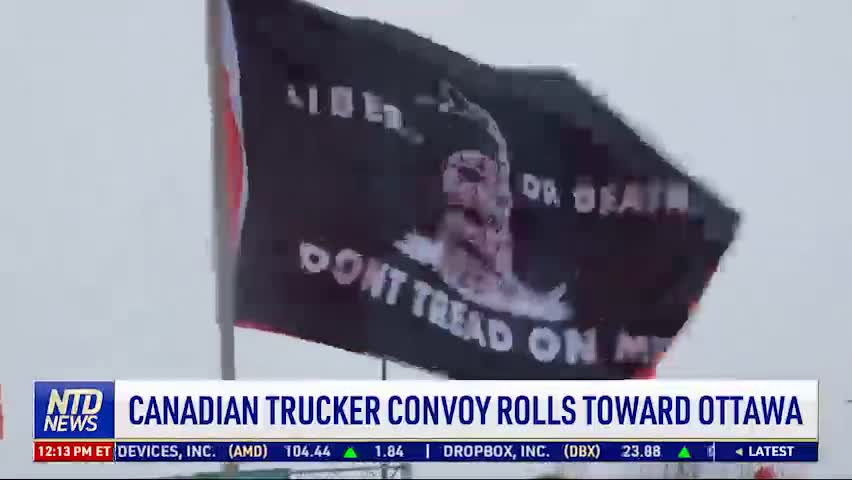 שיירת החופש 2022 תופסת תאוצה ברחבי העולם וגם בישראל