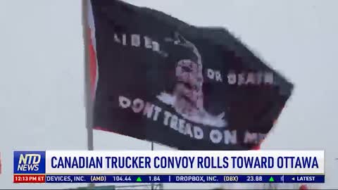 שיירת החופש 2022 תופסת תאוצה ברחבי העולם וגם בישראל