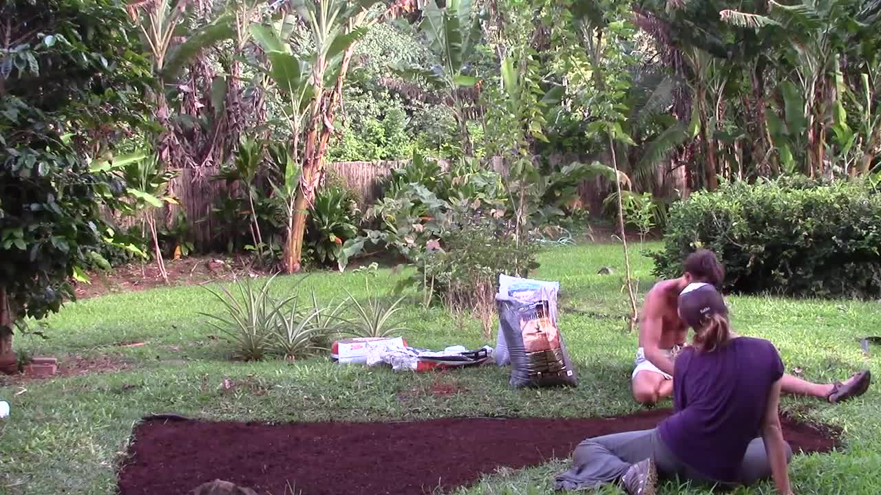 My Life Story ~ In The Garden ~ Part 1 - Sept 13th 2016