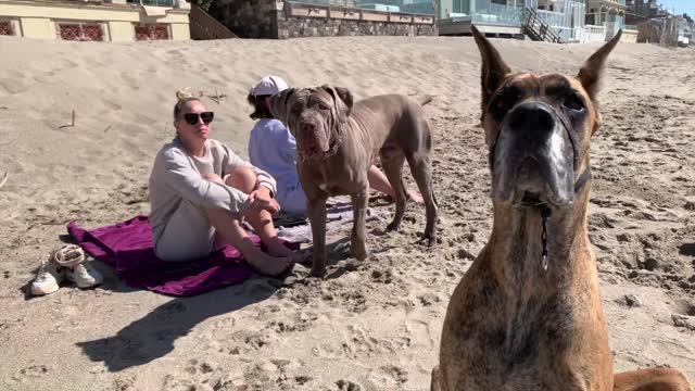 Sasha and Richie at the Beach