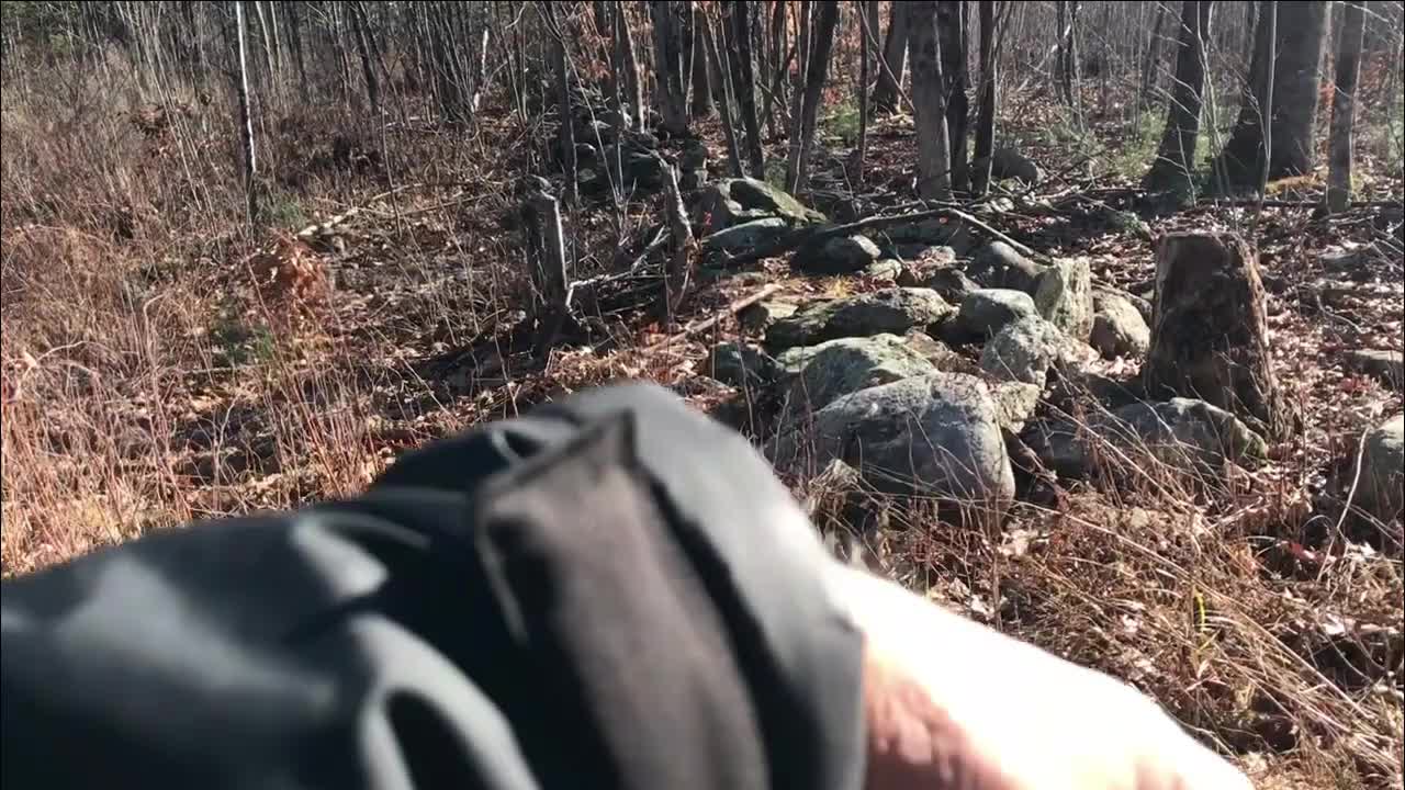 Lets explore! checking land for Spring return