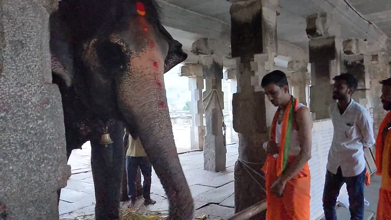 Hampi Elephant Blessings