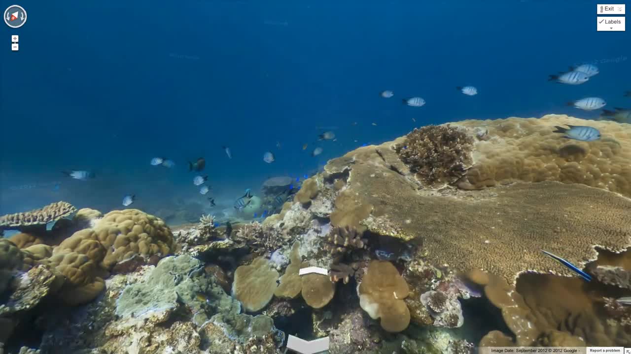 Explore the ocean with Google Maps