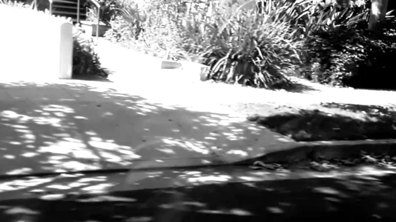 VHS on the go part 2