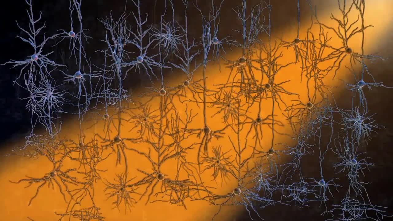 Optogenetics: A Light Switch for Neurons