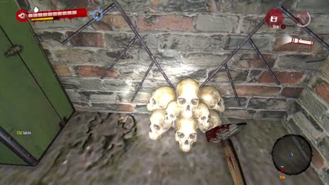 Nice Collection