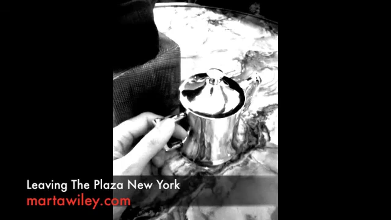 Leaving The Plaza_ New York