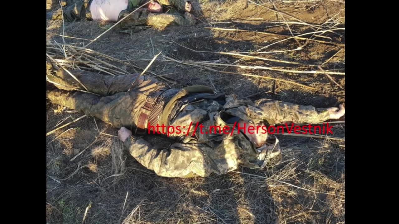 Ukrainian Offensive in the South - Cherson Region