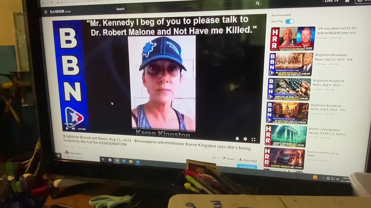 The REAL REASON For Karen Kingston's Situation * 19min.