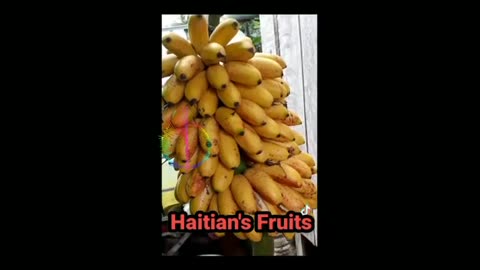 You like to know Haitian's Fruits