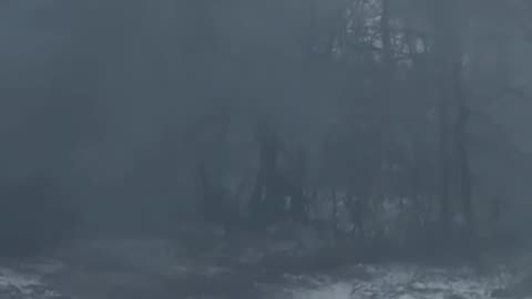 Russians Move into the Treeline and get Demolished by Ukrainian Artillery