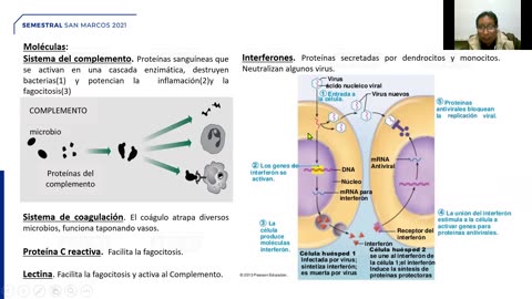 SEMESTRAL ADUNI 2021 | Semana 17 | Geometría | Biología