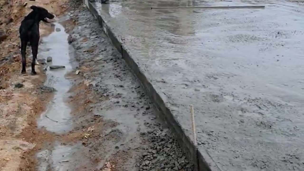 Construction worker - Road process