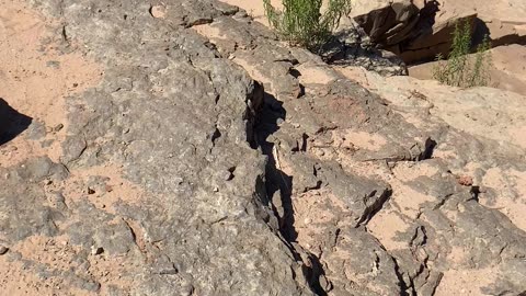 Southern Utah water fall