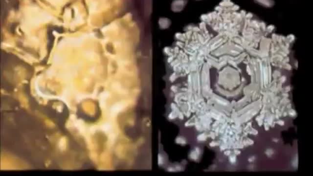 Masaru Emoto water experiments in cymatics and intent effecting water molecules