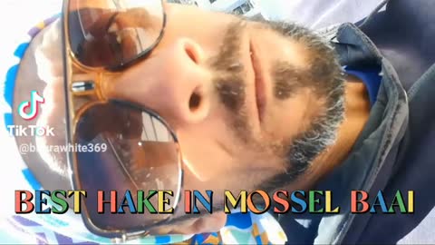 Best HAKE in MOSSEL BAAI.