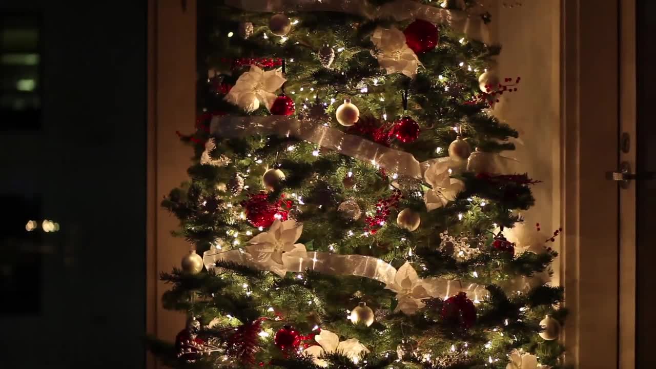 Wonderful lighting for trees