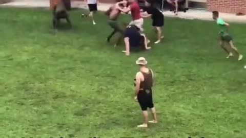 This looks too fun 😂