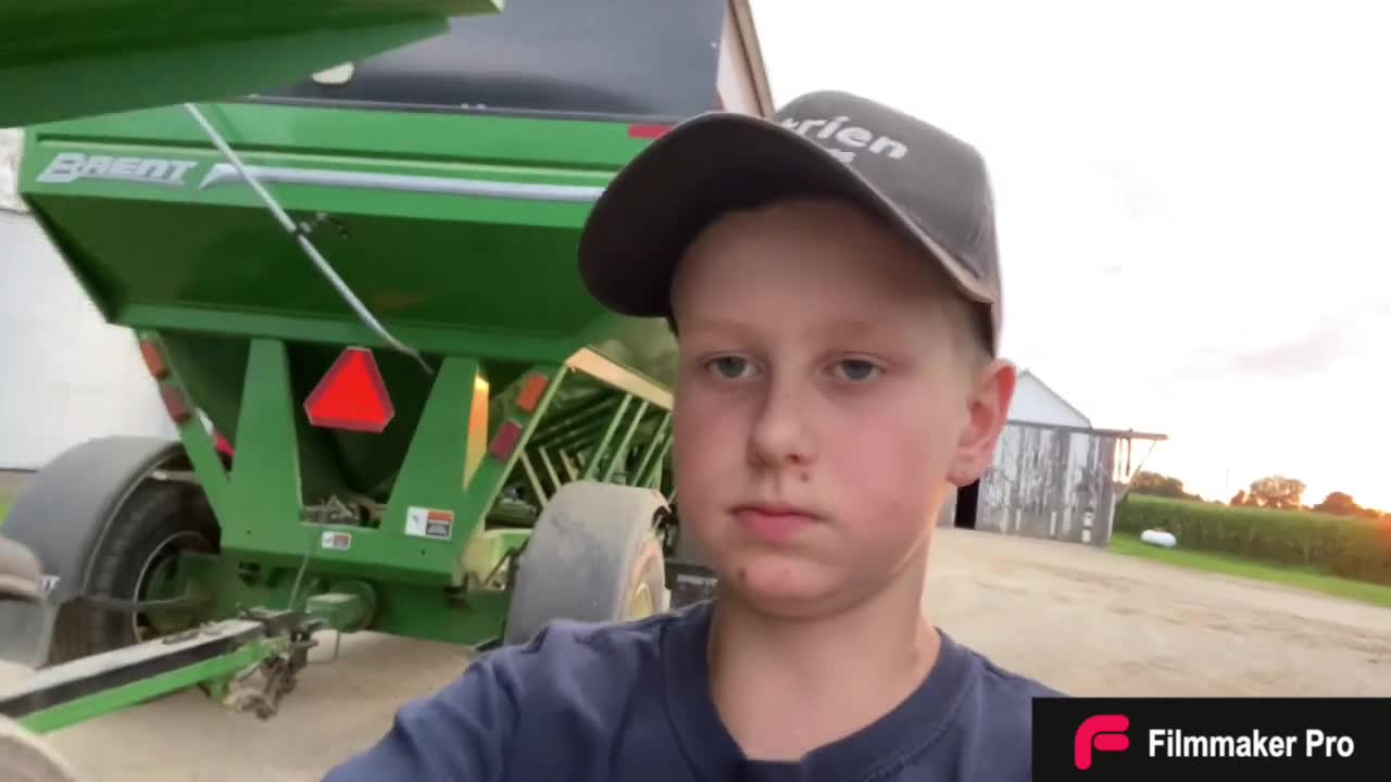 Still Harvesting Wheat