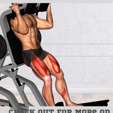 Workout Exercises For Muscle Tone And Fat Burn