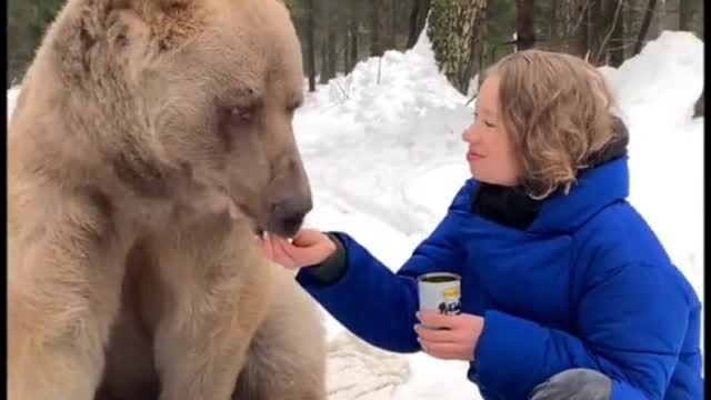 Beauty and the Beast