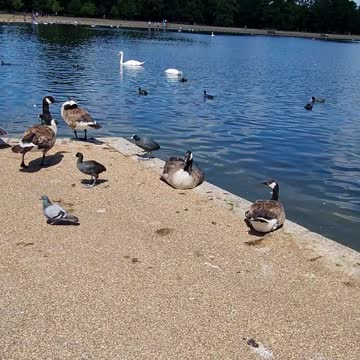 Hyde Park London UK