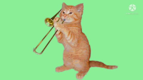 Funny Cat animals is singing to dance supar